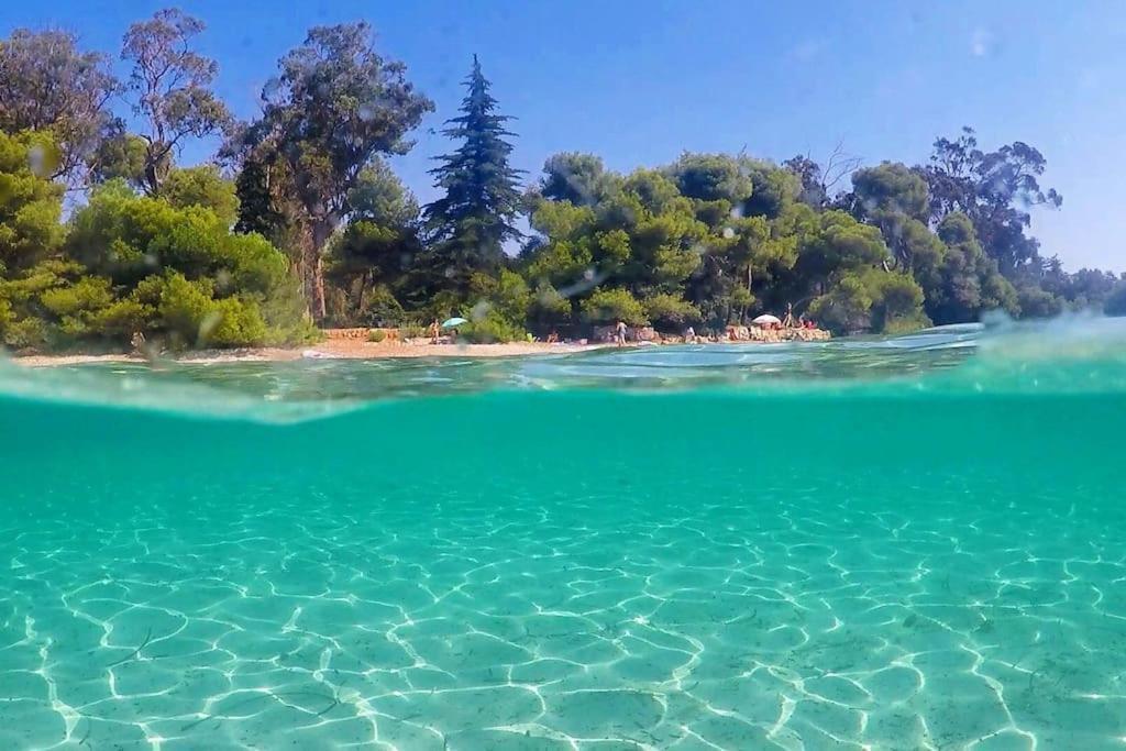 Cannes Beach And Festival Palais Εξωτερικό φωτογραφία